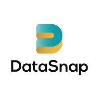 DataSnap logo - Similar company to Design Limitless