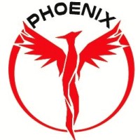 Phoenix S.r.l. logo - Similar company to Simple Work