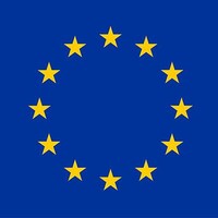 Delegation of the European Union to Guyana, for Suriname and with responsibility for Caribbean OCTs logo - Similar company to Pkc Laundry Solutions Pvt Ltd