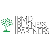 BMD Business Partners logo - Similar company to Bemus Solutions