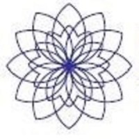 Kaleido Technologies logo - Similar company to Protocol Consultants India