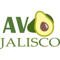 Avocados Jalisco 