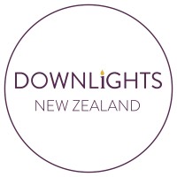 Downlights NZ logo - Similar company to Tinker Nz