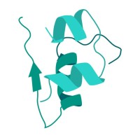 Thermalin Diabetes, Llc