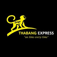 Thabang Express Bike Delivery Services logo - Similar company to Cargocult E-Cargo Bike Delivery