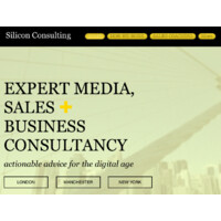 Silicon Business Consulting