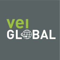 VEI Global Ltd logo - Similar company to Articsolutions