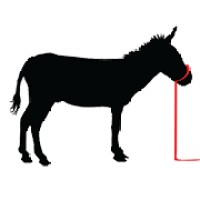 Donkey Whisper Productions logo - Similar company to Infinity Forge