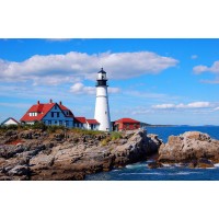 Harbor Associates