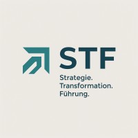 STF GmbH logo - Similar company to Crowdmedia Gmbh