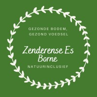Zenderense Es logo - Similar company to Driekant