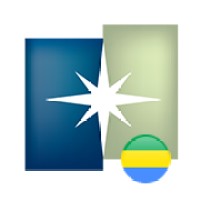 BGFIBank Gabon logo - Similar company to Uba Gabon
