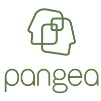 Pangea, LLC logo - Similar company to Pangeaeffect