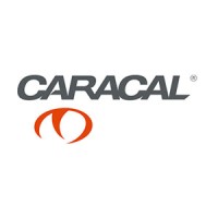 Caracal USA logo - Similar company to Angled Spade Technologies, Llc.