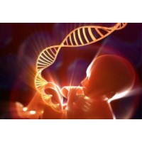 Division of Reproductive Genetics, Department of Reproductive Sciences, KMC, MAHE logo - Similar company to International Fop Association