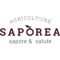 SAPOREA logo - Similar company to Il Tomolo