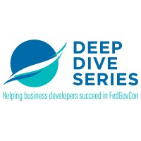 Deep Dive Series, LLC www.deepdiveseries.net logo - Similar company to Litton Prc