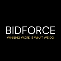 BIDFORCE.UK logo - Similar company to Chimney & Canopy Systems Ltd