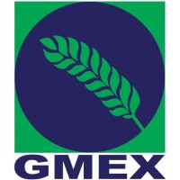 GMEX
