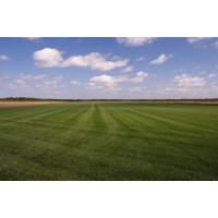 Vandemark Sod Farms Llc