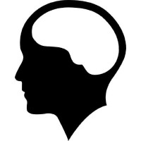 brainstation logo - Similar company to Scoremedia