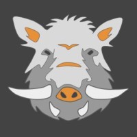 Boar Investment Group logo - Similar company to Joseph Thomas Property Management