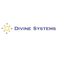 Divine Systems LLC logo - Similar company to Divine Systems