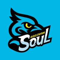 Saginaw Soul logo - Similar company to Async Ecom