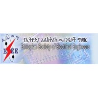Ethiopian Electrical Engineers Group logo - Similar company to Shetu Systech Solutions