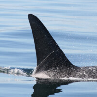 Beam Reach logo - Similar company to Aquatic Consultancy