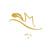 Media Musketeer logo - Similar company to Good Brief