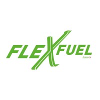 Flex Fuel Energy Development Italia - FFED ITALIA logo - Similar company to Flex-Gen