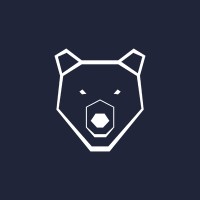 Ten Bear Group logo - Similar company to Ai Strategy Hub