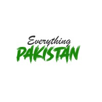 Everything Pakistan logo - Similar company to Everything Finance