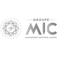 Groupe MIC logo - Similar company to Gaootech