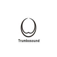 Guangdong Huiyin Audio Co., Ltd logo - Similar company to Imaginary Friends Dubai