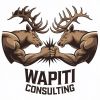 Wapiti Consulting logo - Similar company to Astro Precision, Inc.