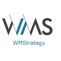 Williams & Marshall Strategy logo - Similar company to Lumenlogic Insight