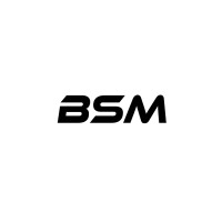 Black Stallion Media