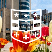 WashU Medicine Light Institute for Global Health and Transformation logo - Similar company to Excellence In Medicine Ladies Network