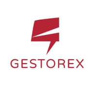 Gestor.ex logo - Similar company to Silvers_Xp