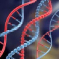 BIOTECHNOLOGY RESEARCH FOUNDATION
