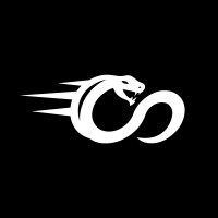 Cobra Motorsports logo - Similar company to Electrafence Limited