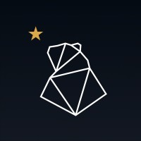 Pole Star Digital 🌟 logo - Similar company to Neverspoons