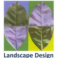 Studio di Landscape Architecture Patrizia Pozzi logo - Similar company to La Stanzac