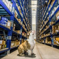 BOTTACINI S.P.A. logo - Similar company to Graphimecc Group S.R.L.