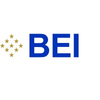 BEI-International (Business Consulting, Education, Coaching) logo - Similar company to Silverworks