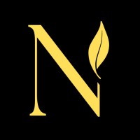 Nex Studio | Premium Video Marketing logo - Similar company to Nex Digital Solutions