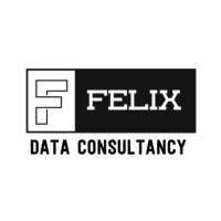 Felix Data Consultancy logo - Similar company to Datakritik