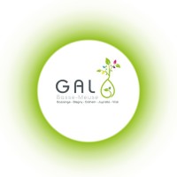 GAL Basse-Meuse logo - Similar company to Geir (Groupement Européen Industrie De La Régénération)